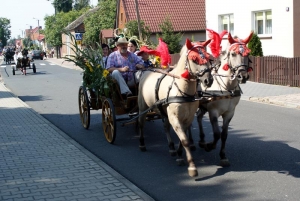 Dożynki 2016-31