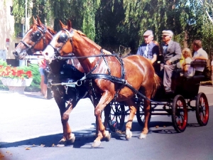 Krystian Samol-26