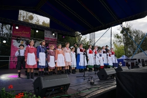 Występy w Rydzynie i Domachowie