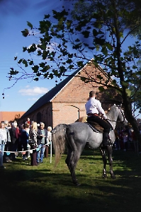 Dzień Tatara 28.09.2025-5
