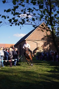 Dzień Tatara 28.09.2025-6