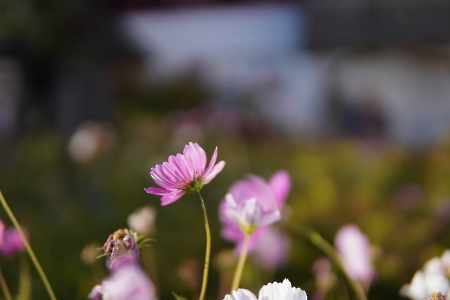 Dzień Tatara 28.09.2025-96