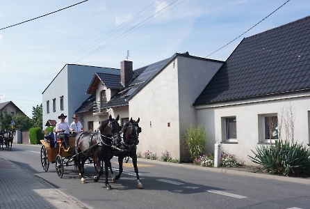 Korowód dożynkowy 2025-11