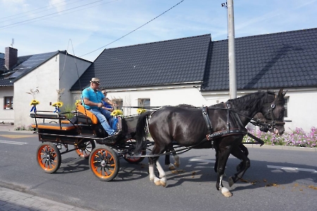 Korowód dożynkowy 2025-17