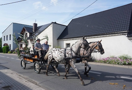 Korowód dożynkowy 2025-19